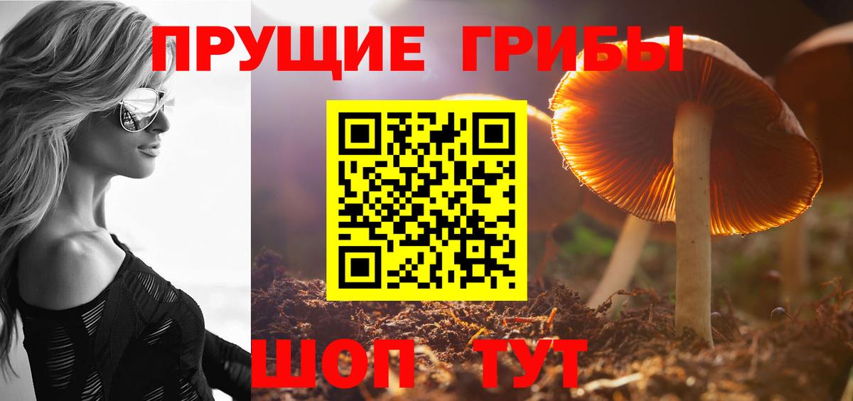 Псилоцибиновые грибы ЛСД Приморско-Ахтарск