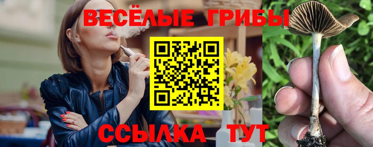 Приморско-Ахтарск  Галлюциногенные грибы ЛСД  Вход с VPN 